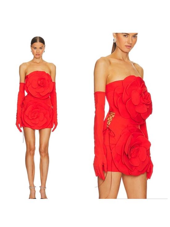 MISCREANTS Dresses & Skirts - MISCREANTS Rose Dress With Gloves in Red